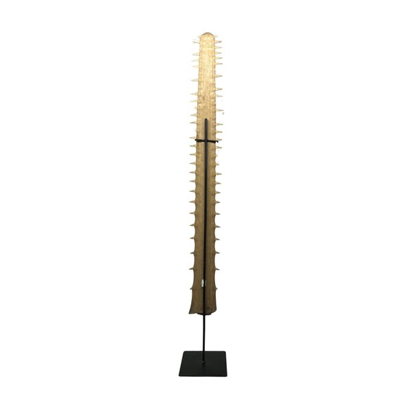 Rostrum of the Common Sawfish
