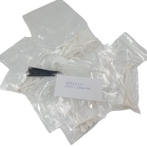 Komplettes Skelett Hammerkopf