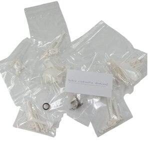 Komplettes Skelett Blaustirnamazone