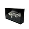 Skeleton Tilapia Fish in a luxury box