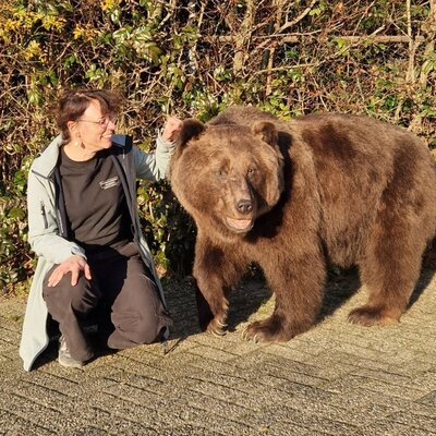 Het verhaal van beer Dadon