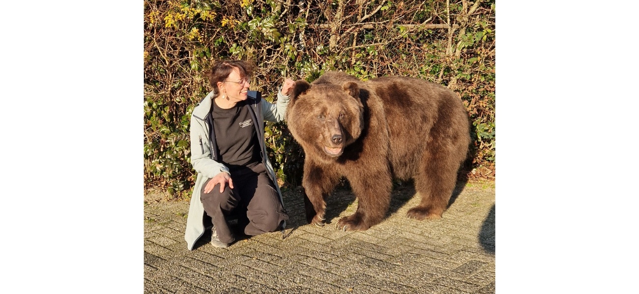 Het verhaal van beer Dadon
