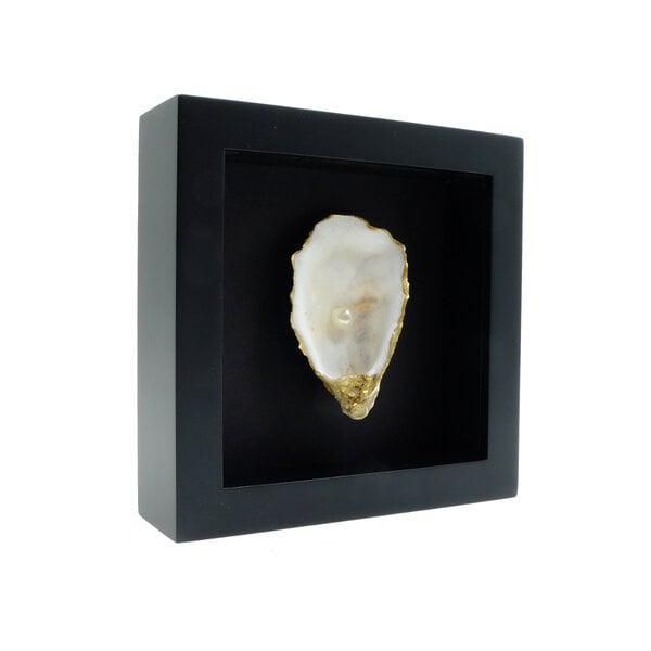 Oyster with pearl in elegant frame 16x16