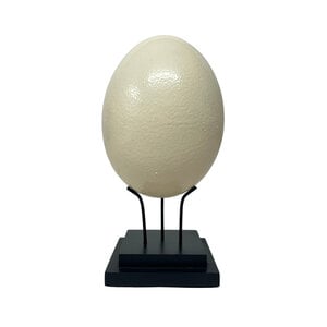 Ostrich egg on stand