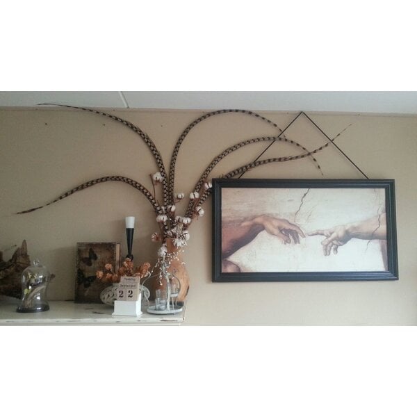 Königsfasan federn 75 - 90 cm B-QUALITÄT