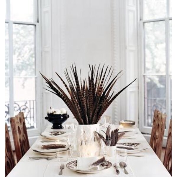 Reeves's pheasant feathers 75 - 90 cm B-GRADE