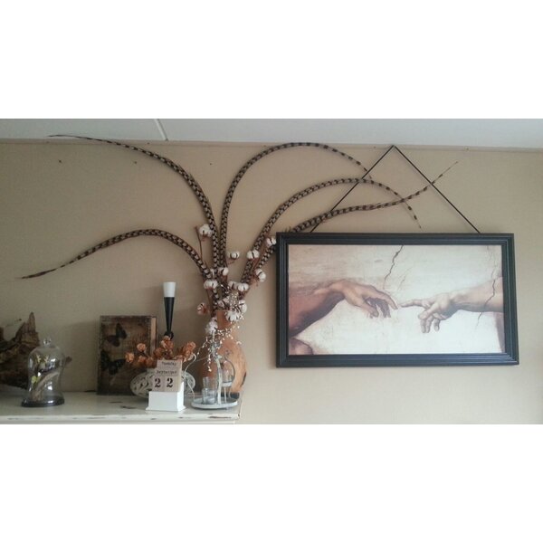 Reeves's pheasant feathers 100 - 115 cm B-GRADE