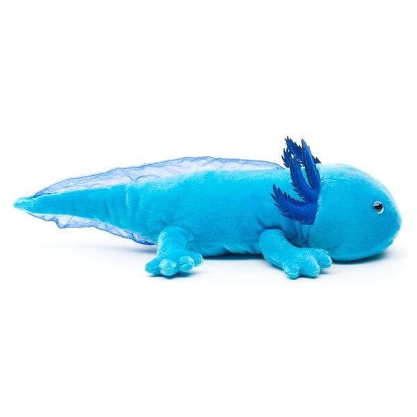 Axolotl knuscheltier