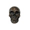 Human skull replica