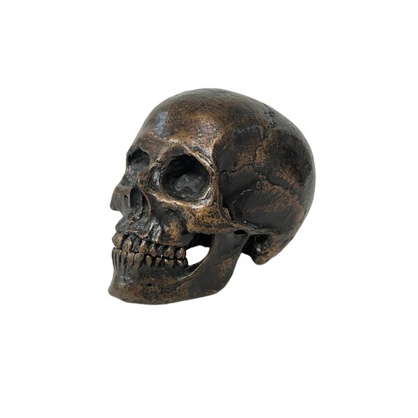 Menschlichen Schädel replik