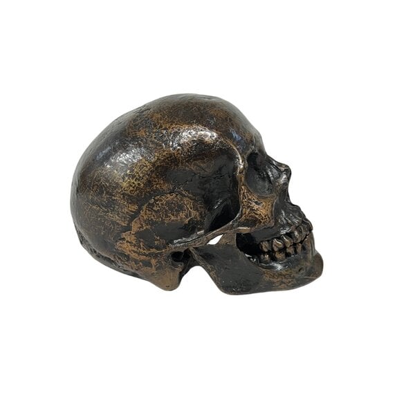 Menschlichen Schädel replik