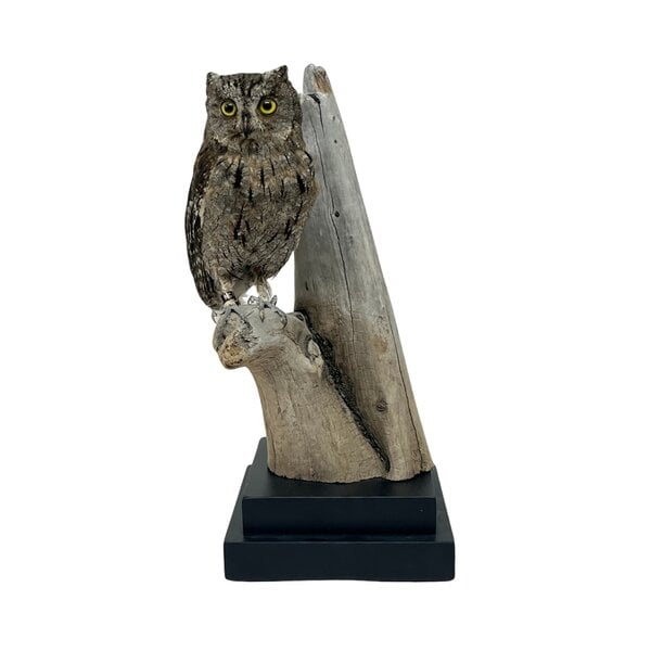 Mounted eurasian scops owl