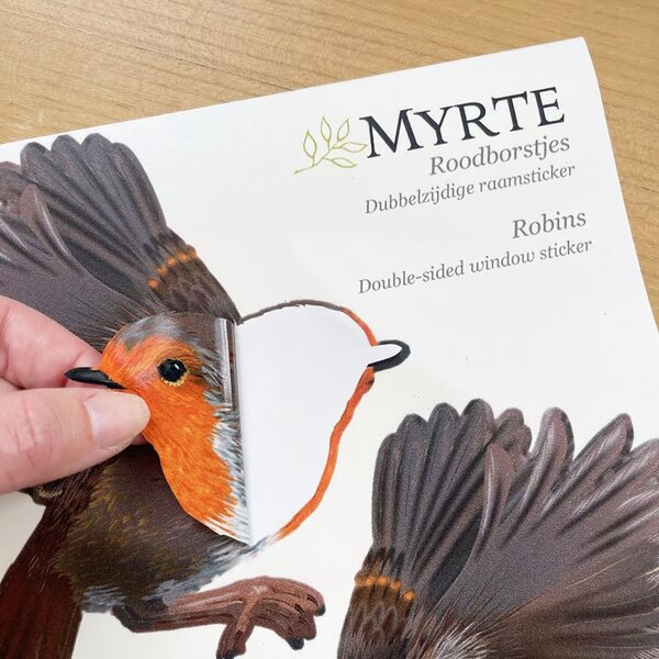 Window sticker Robin