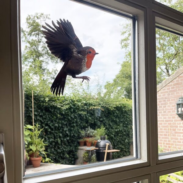 Fensteraufkleber Rotkehlchen