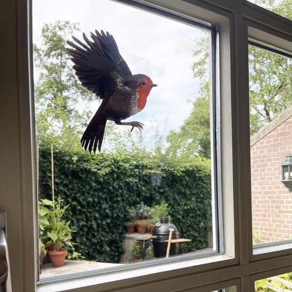 Raamsticker Roodborstje
