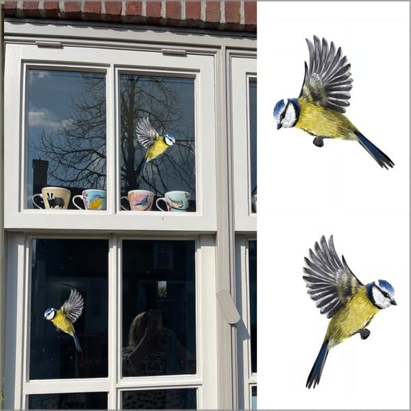 Fensteraufkleber Blaumeise