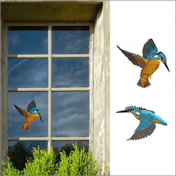 Fensteraufkleber Eisvogel