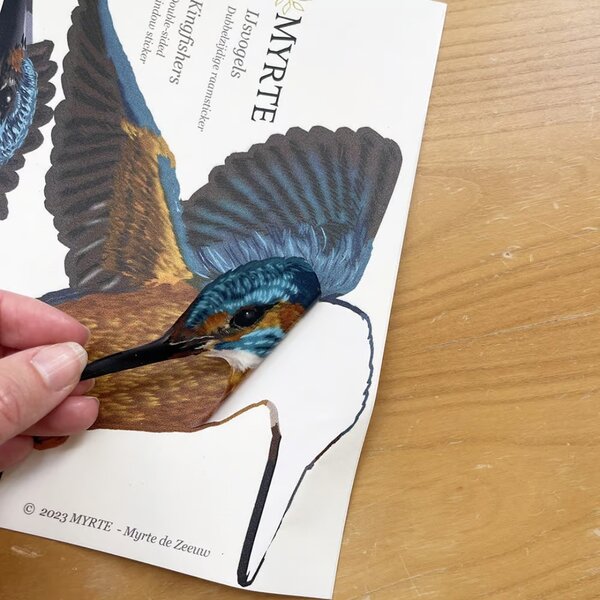 Fensteraufkleber Eisvogel