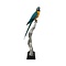 Stuffed blue-throated macaw