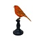 Mounted red canary