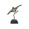 Mounted european goldfinch - beige`(A) Flying