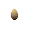 Replica Red-billed tropicbird egg