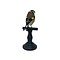 Mounted european goldfinch - beige (B)