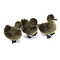Mounted brown duck without pedestal