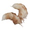 Tail fox with keychain (light brown)
