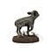 Mounted wild boar piglet (A)