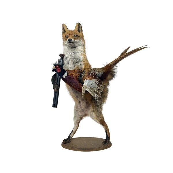 Mounted fox with pheasant and gun