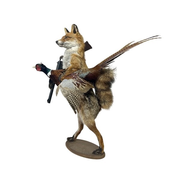 Präparierter Fuchs mit Fasan und Gewehr