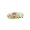 Compleet skelet - Vismarter