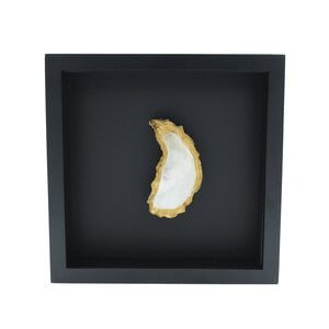 Oester in elegante lijst