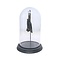 Glass dome with mounted fruit bat large