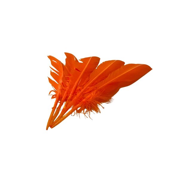 Bundel veren oranje 5 stuks WK Nederland