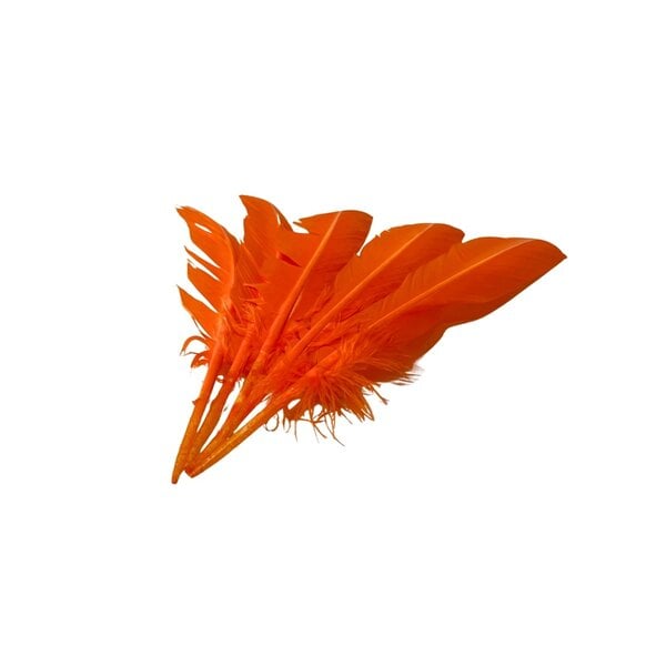 Bundle feathers orange 5 pieces