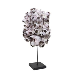 Barnacle on pedestal XL