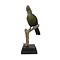 Fischer's turaco
