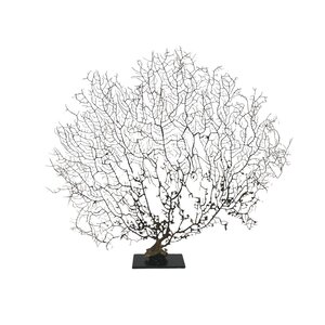 Sea fan on metal base (L)