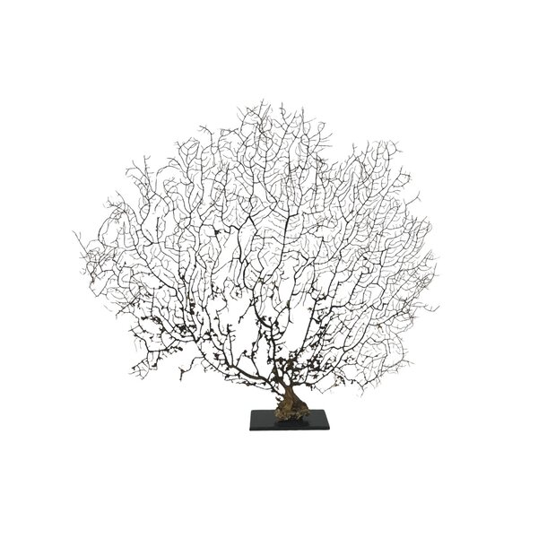 Sea fan on metal base (L)