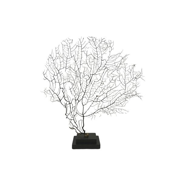 Sea fan on wooden base square M