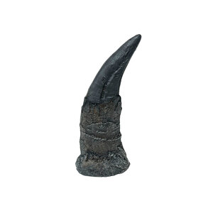 T-rex tand - replica Zwart