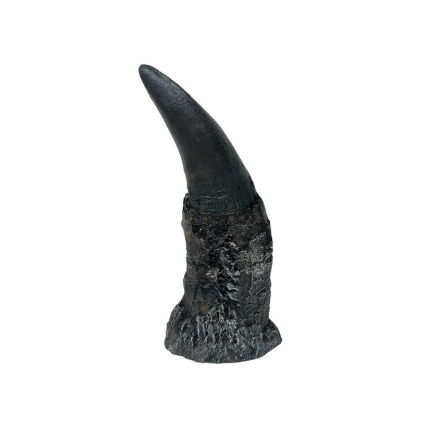 T-rex tand - replica Zwart