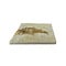 Fossil Fish XL