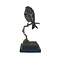 Ausgestopfter Bergfink