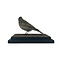 Mounted Eurasian skylark