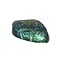 Haliotis shell in luxurious box