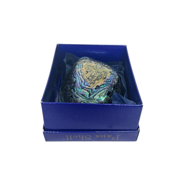 Haliotis Schelp in luxe doosje