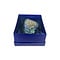 Haliotis shell in luxurious box